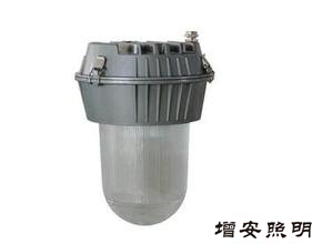 TG720  防眩平臺(tái)泛光燈