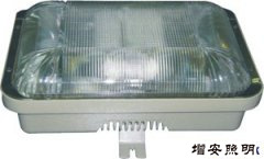 GF9153內(nèi)場泛光燈